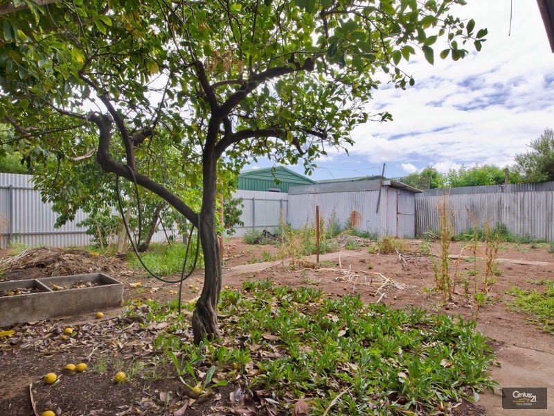 24 Tarragon Street, Mile End SA 5031