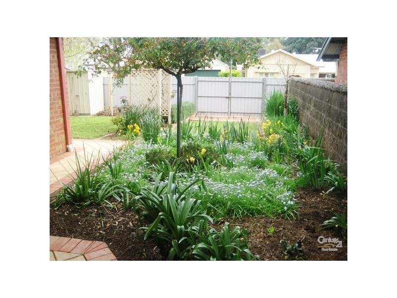 26 Ormonde Avenue, Millswood SA 5034