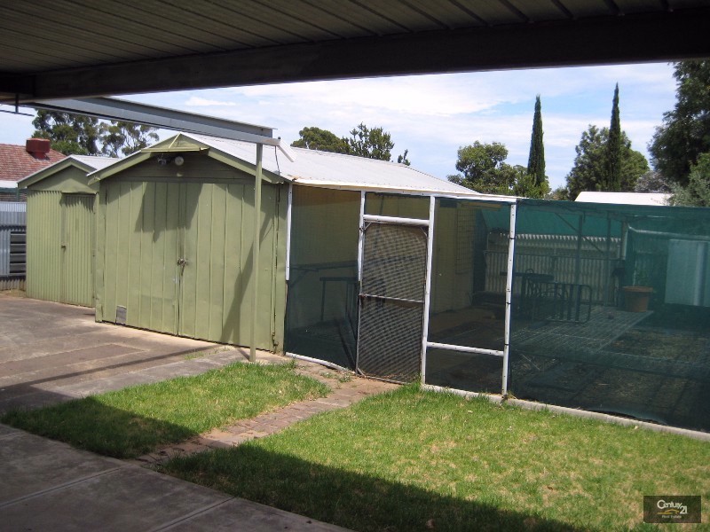 50  Winston Avenue, Clarence Gardens SA 5039