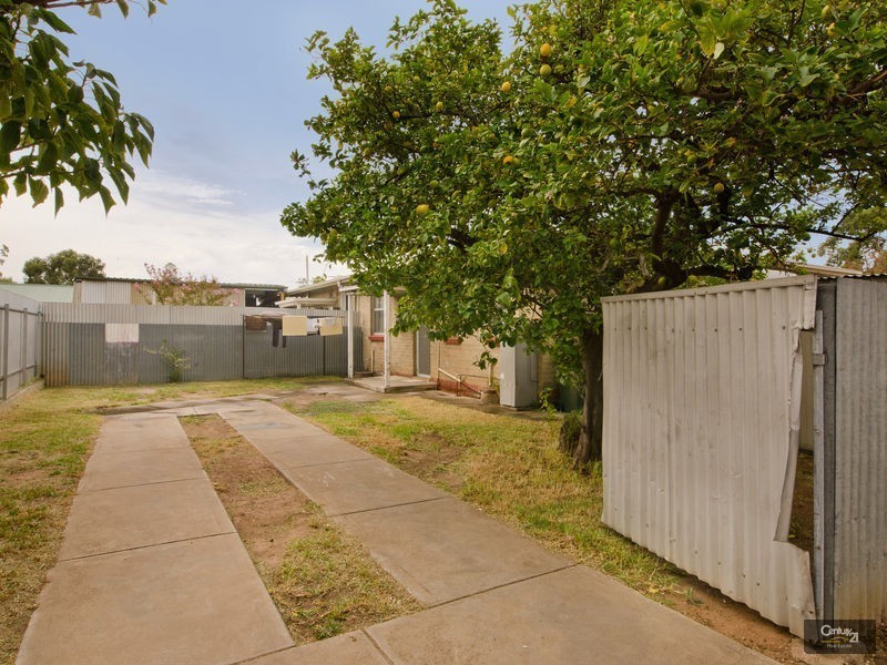 554 Prospect Road, Kilburn SA 5084