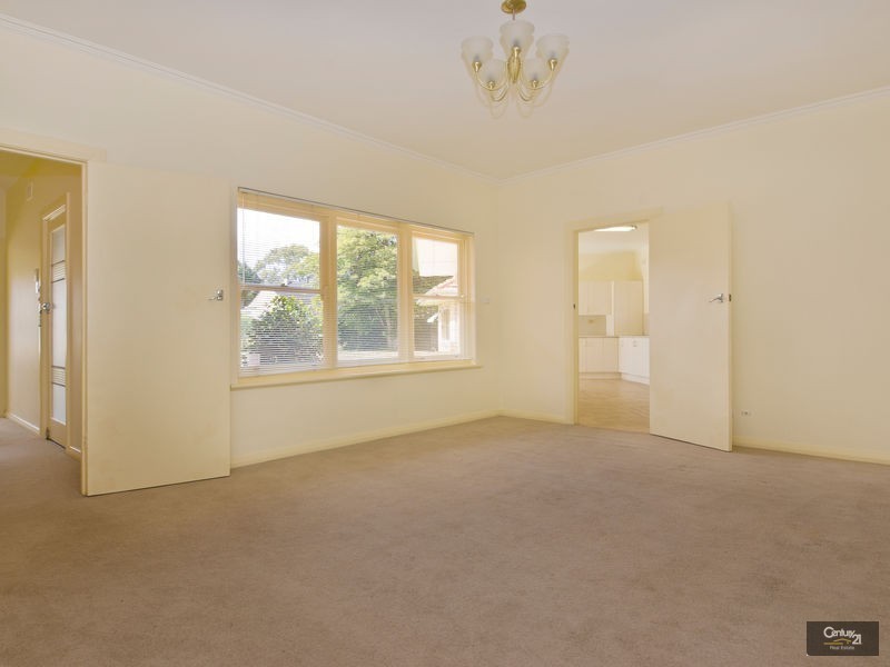 16 Gifford Street, South Plympton SA 5038