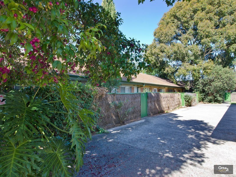 5/159 Young Street, Parkside SA 5063