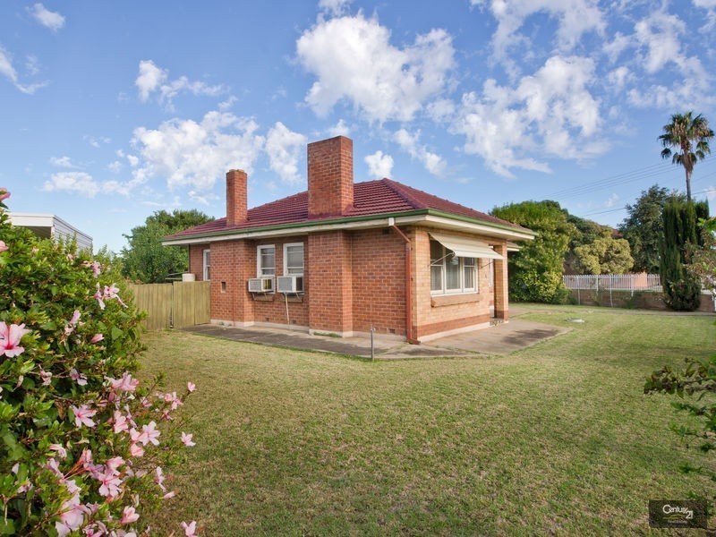 81 Diagonal Road, Somerton Park SA 5044