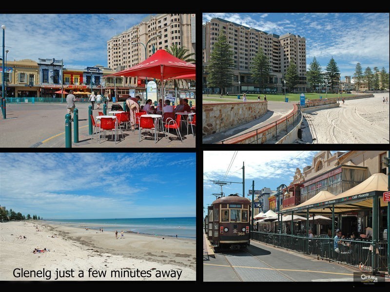 81 Diagonal Road, Somerton Park SA 5044