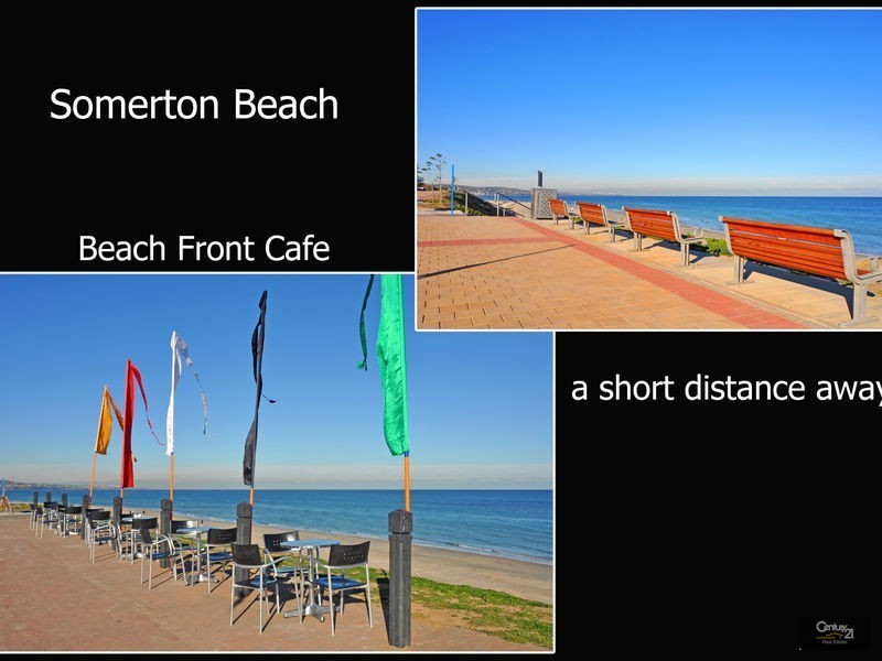 81 Diagonal Road, Somerton Park SA 5044