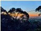 15 Bishop Street, Skye SA 5072