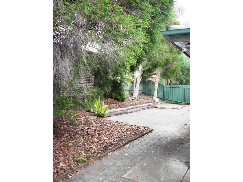 11 Iona Road, Aberfoyle Park SA 5159