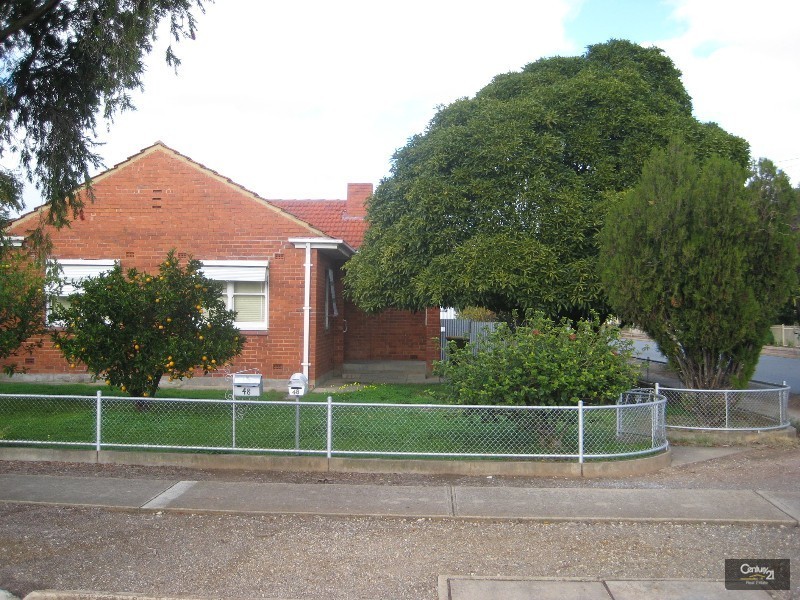 48 English Avenue, Clovelly Park SA 5042