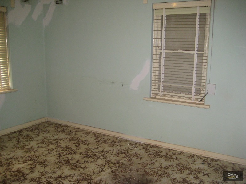 48 English Avenue, Clovelly Park SA 5042