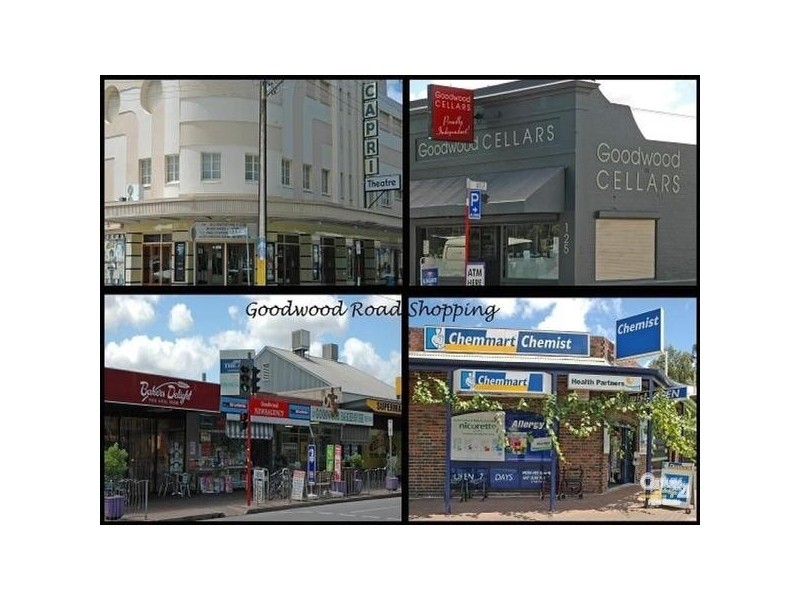 3/184 Goodwood Road, Millswood SA 5034