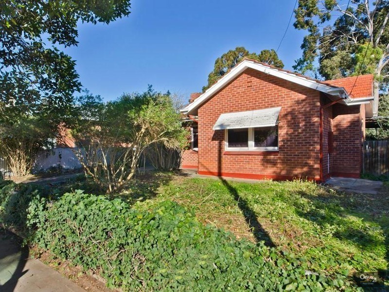 7 Albert Street, Goodwood SA 5034