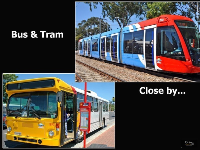 7 Albert Street, Goodwood SA 5034