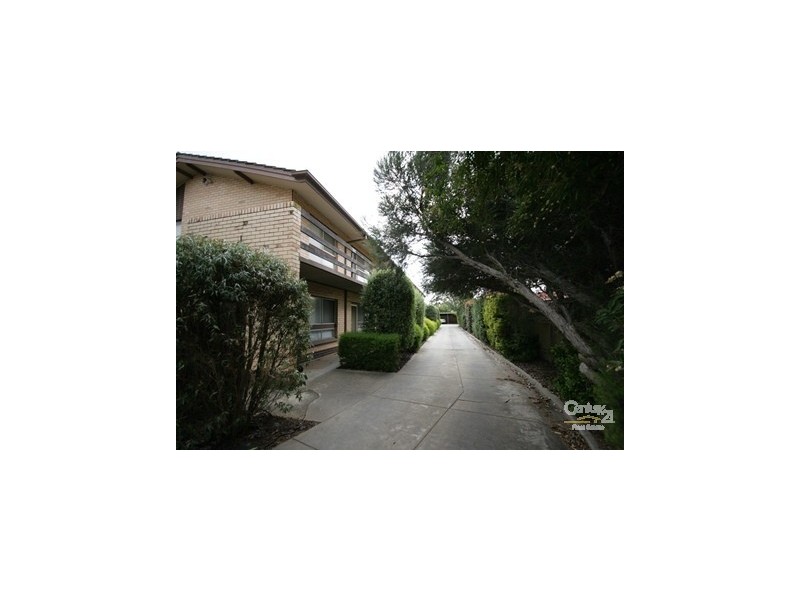 4/64 Ormond Street, Daw Park SA 5041