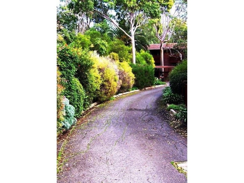 3/36 Trevelyan Street, Wayville SA 5034