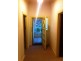 95 Avenue Road, Clarence Gardens SA 5039