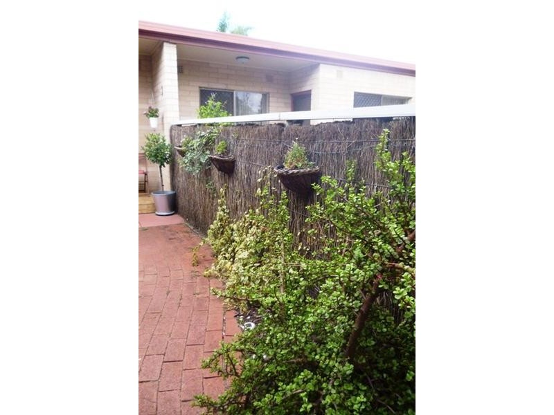 3/23 Daly Street, Kurralta Park SA 5037