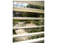 10/287 Melbourne Street, North Adelaide SA 5006