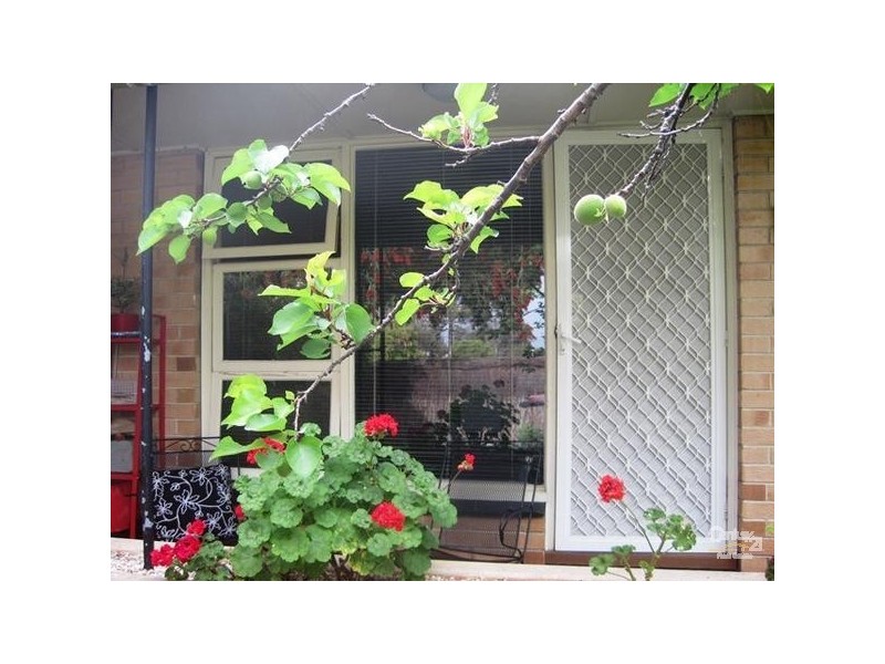 2/7a Nelson Street, Fullarton SA 5063