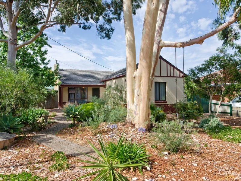 20 Grantley Avenue, Daw Park SA 5041