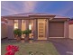 17a Broughton Avenue, Kurralta Park SA 5037