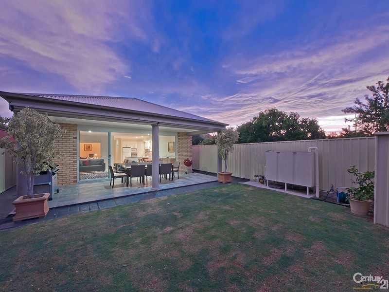 17a Broughton Avenue, Kurralta Park SA 5037