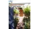 14 Thames Street, Clarence Park SA 5034