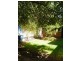 14 Thames Street, Clarence Park SA 5034