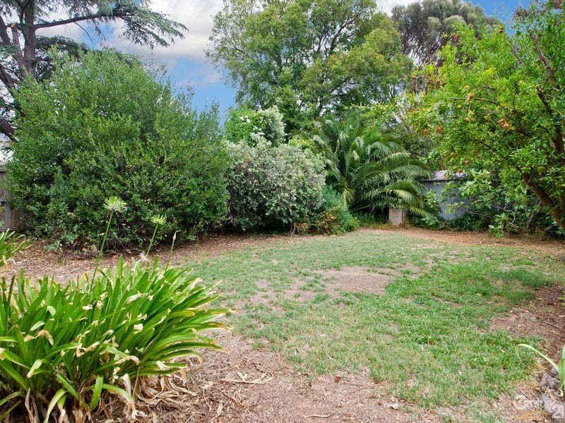 29 Ormonde Avenue, Millswood SA 5034