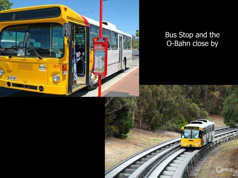 27  Shelley Avenue, Tea Tree Gully SA 5091