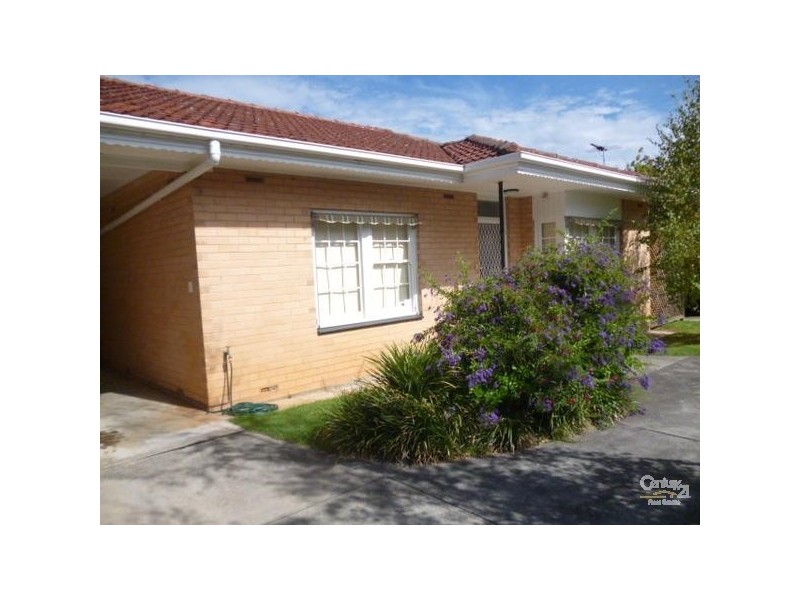 7/427 Kensington Road, Kensington Gardens SA 5068