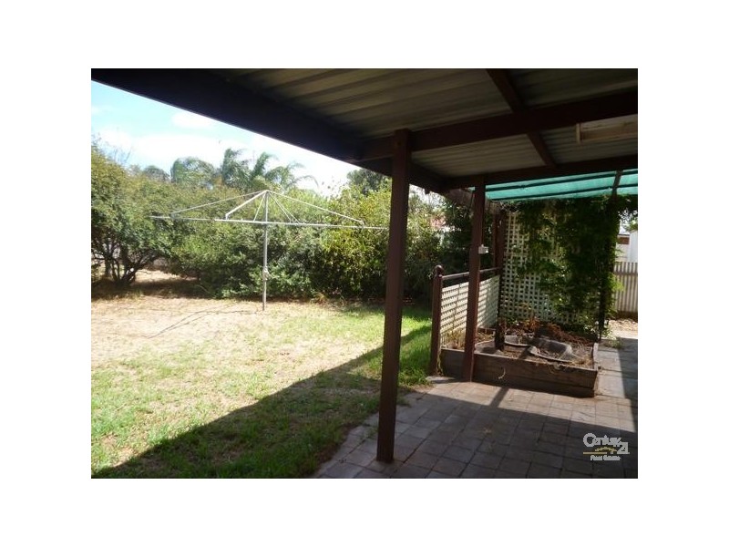 12 Albany Court, Oaklands Park SA 5046