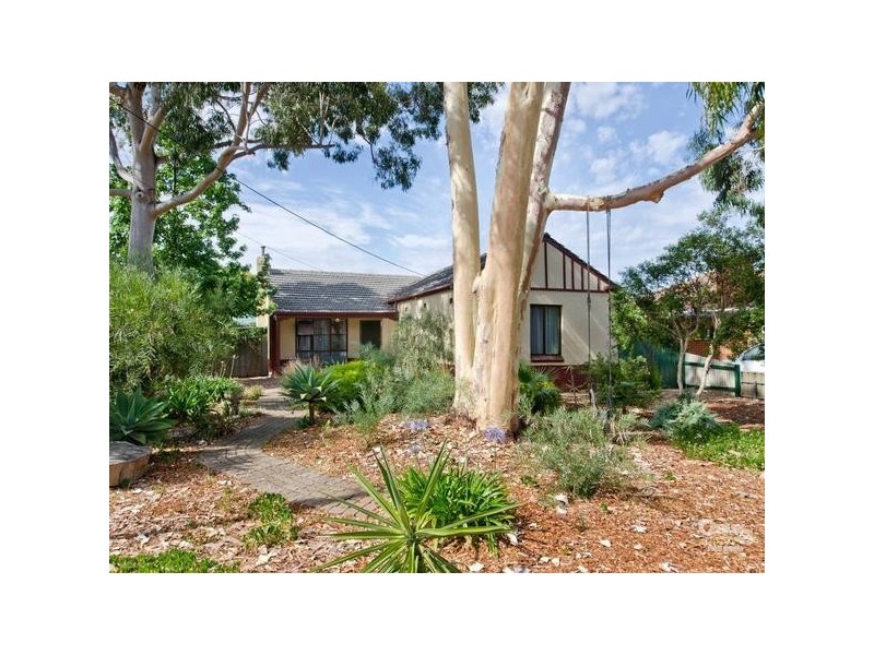 20 Grantley Avenue, Daw Park SA 5041