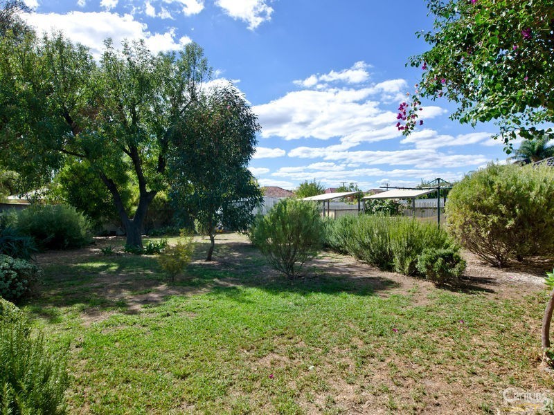 59 Scottish Avenue, Clovelly Park SA 5042