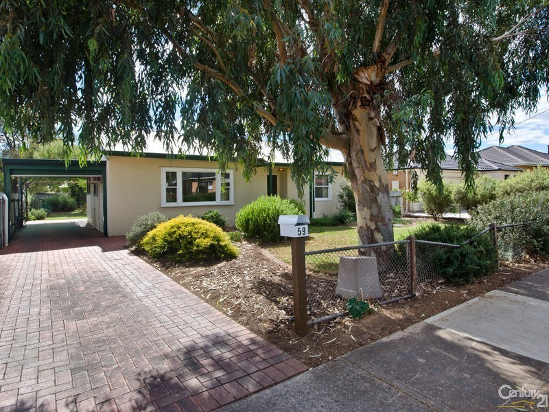 59 Scottish Avenue, Clovelly Park SA 5042