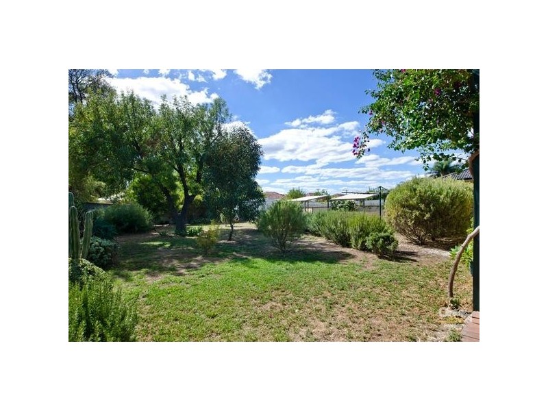 59 Scottish Avenue, Clovelly Park SA 5042