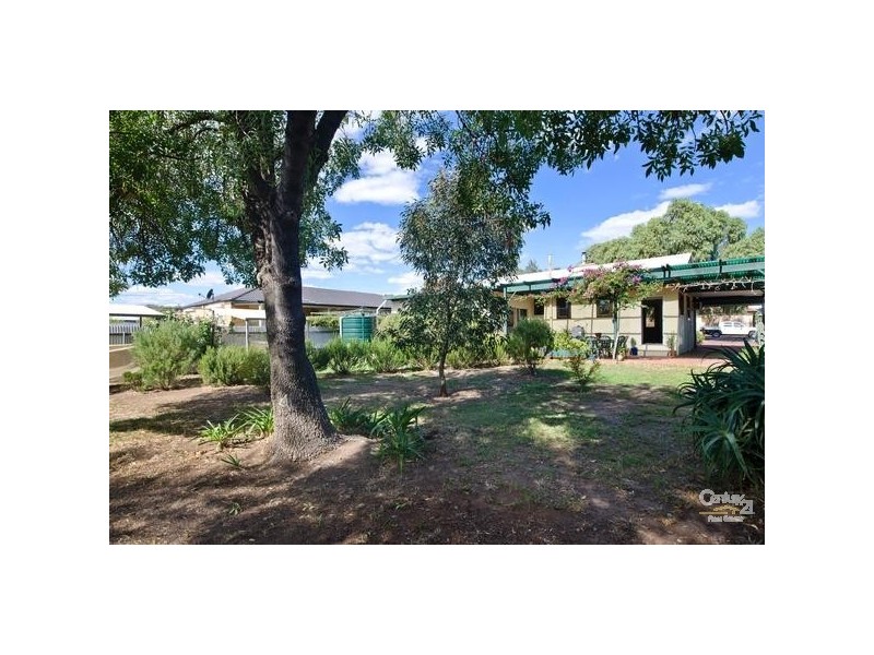 59 Scottish Avenue, Clovelly Park SA 5042