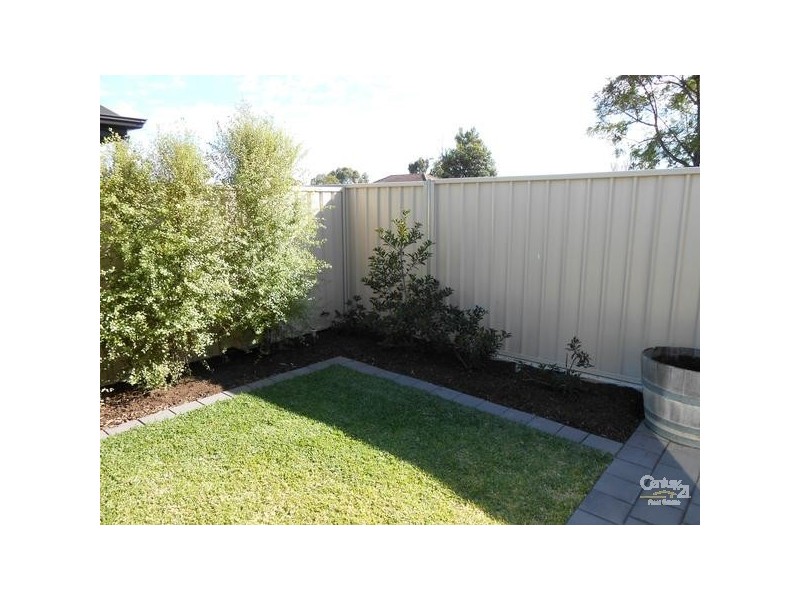 34 Beauchamp Street, Kurralta Park SA 5037