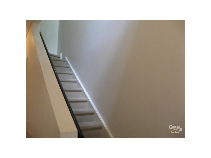3 Sparman Close, Adelaide SA 5000