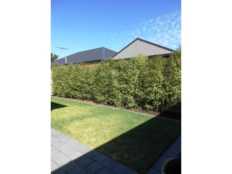 34 Beauchamp Street, Kurralta Park SA 5037