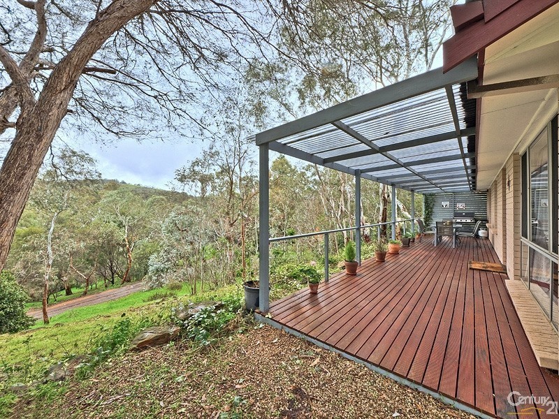 207 Coromandel Parade, Coromandel Valley SA 5051