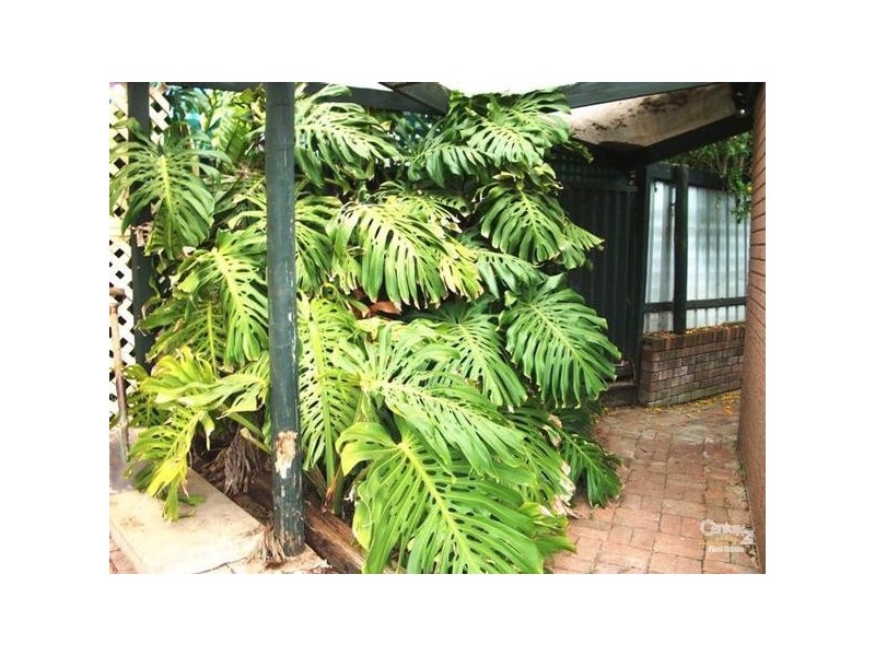 3 Runyon Court, Reynella SA 5161