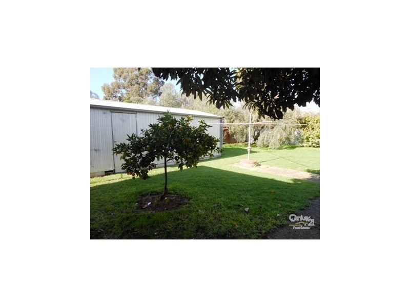 29 Richmond Avenue, Colonel Light Gardens SA 5041