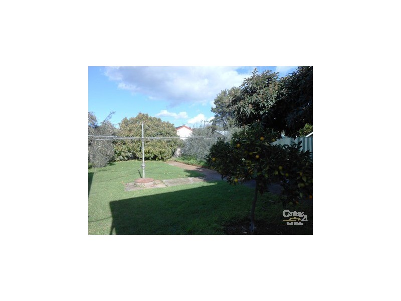 29 Richmond Avenue, Colonel Light Gardens SA 5041