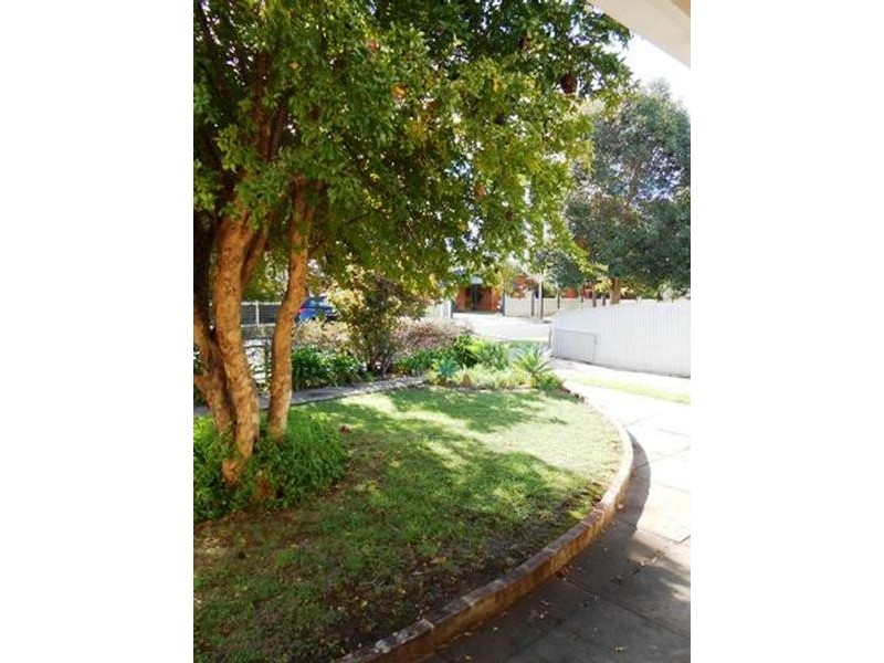 29 Richmond Avenue, Colonel Light Gardens SA 5041