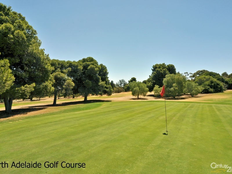 156 Barnard Street, North Adelaide SA 5006