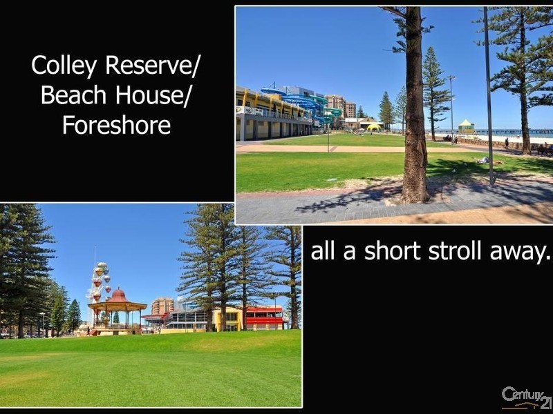 19 Yarrum Grove, Glenelg South SA 5045