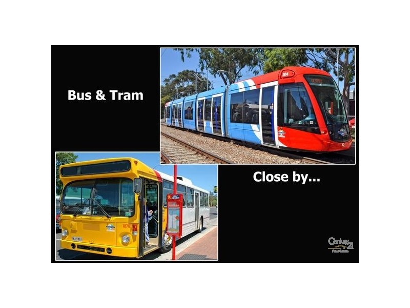 6/19 Florence Street, Goodwood SA 5034