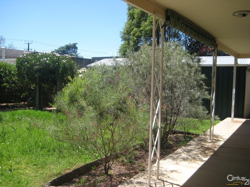 17 Barker Avenue, South Plympton SA 5038