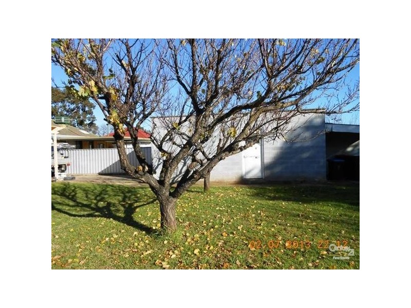 150 Morgan Avenue, Melrose Park SA 5039