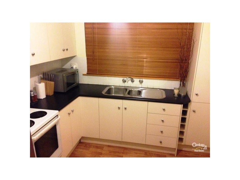 16 Selkirk Avenue, Black Forest SA 5035